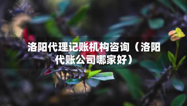 洛陽代理記賬機(jī)構(gòu)咨詢（洛陽代賬公司哪家好）