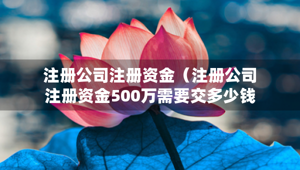 注冊公司注冊資金（注冊公司注冊資金500萬需要交多少錢）