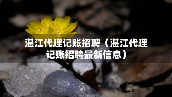 湛江代理記賬招聘（湛江代理記賬招聘最新信息）