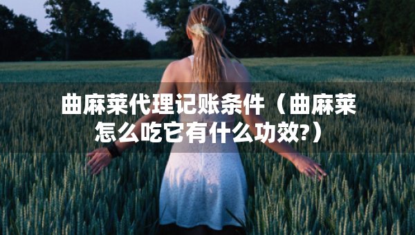 曲麻萊代理記賬條件（曲麻萊怎么吃它有什么功效?）