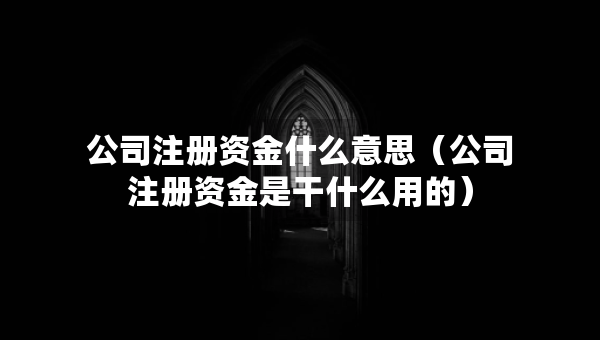 公司注冊資金什么意思（公司注冊資金是干什么用的）