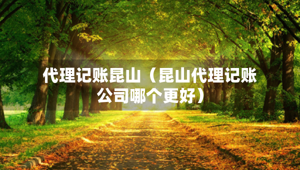 代理記賬昆山（昆山代理記賬公司哪個(gè)更好）