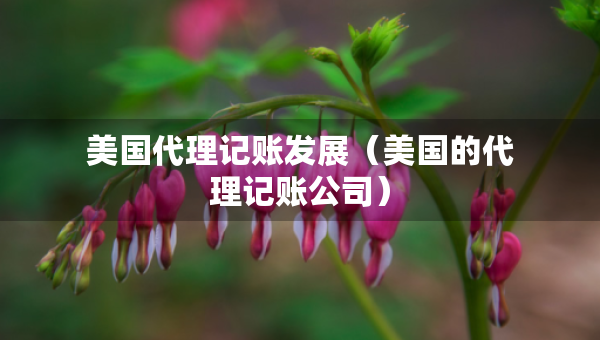 美國(guó)代理記賬發(fā)展（美國(guó)的代理記賬公司）