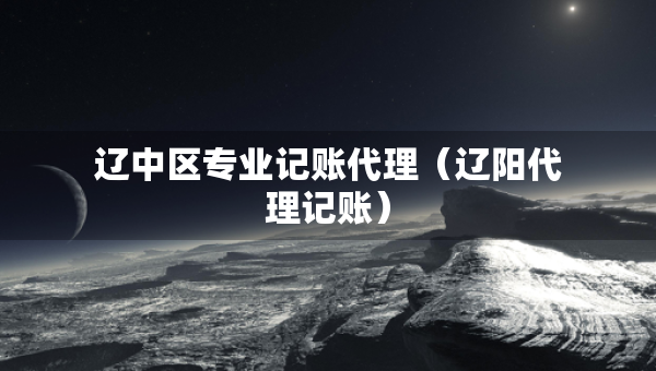 遼中區(qū)專業(yè)記賬代理（遼陽代理記賬）