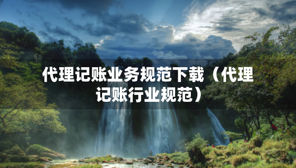 代理記賬業(yè)務(wù)規(guī)范下載（代理記賬行業(yè)規(guī)范）