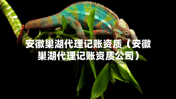 安徽巢湖代理記賬資質(zhì)（安徽巢湖代理記賬資質(zhì)公司）
