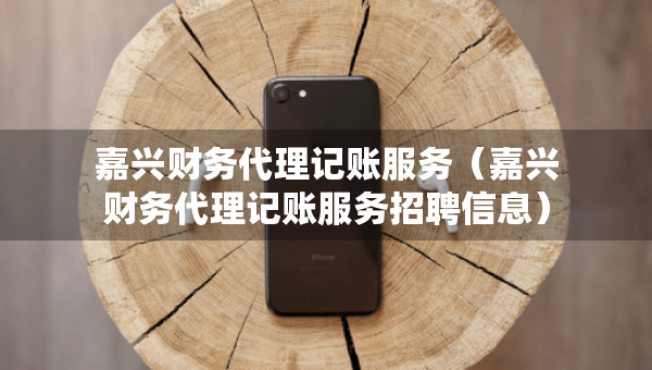 嘉興財(cái)務(wù)代理記賬服務(wù)（嘉興財(cái)務(wù)代理記賬服務(wù)招聘信息）