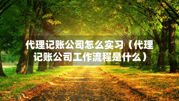 代理記賬公司怎么實習（代理記賬公司工作流程是什么）