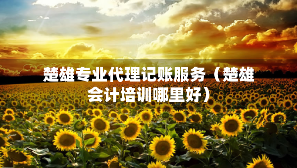 楚雄專業(yè)代理記賬服務（楚雄會計培訓哪里好）