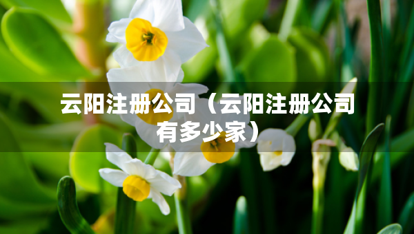 云陽注冊公司（云陽注冊公司有多少家）