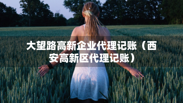 大望路高新企業(yè)代理記賬（西安高新區(qū)代理記賬）