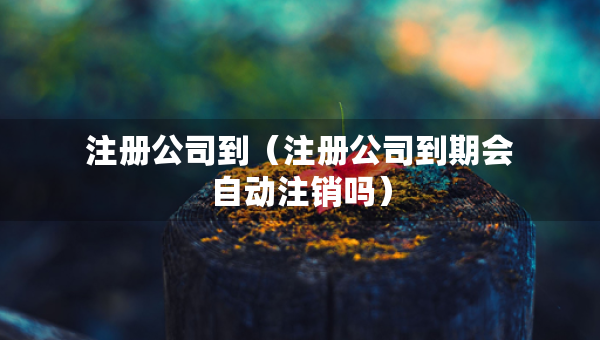 注冊公司到（注冊公司到期會(huì)自動(dòng)注銷嗎）