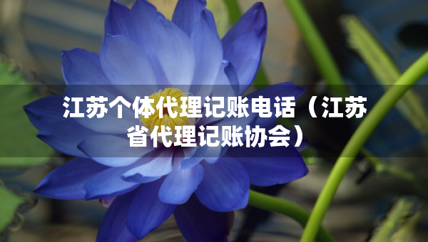 江蘇個(gè)體代理記賬電話（江蘇省代理記賬協(xié)會(huì)）
