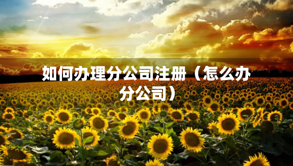 如何辦理分公司注冊(cè)（怎么辦分公司）