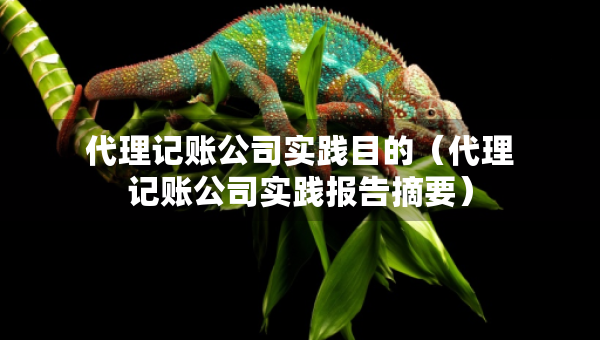 代理記賬公司實(shí)踐目的（代理記賬公司實(shí)踐報(bào)告摘要）