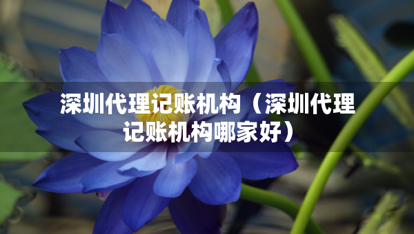 深圳代理記賬機(jī)構(gòu)（深圳代理記賬機(jī)構(gòu)哪家好）