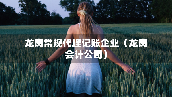 龍崗常規(guī)代理記賬企業(yè)（龍崗會計公司）