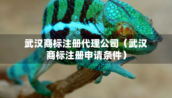 武漢商標(biāo)注冊代理公司（武漢商標(biāo)注冊申請條件）