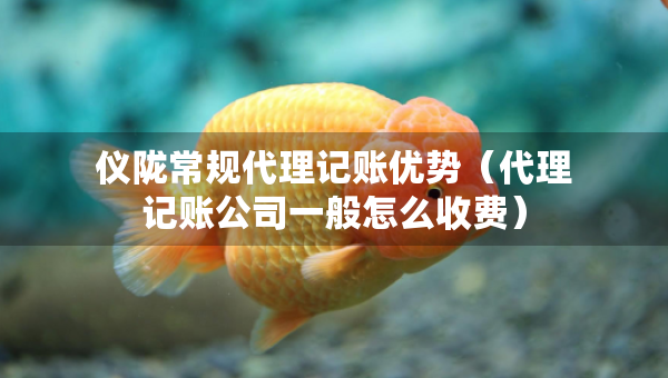 儀隴常規(guī)代理記賬優(yōu)勢（代理記賬公司一般怎么收費）