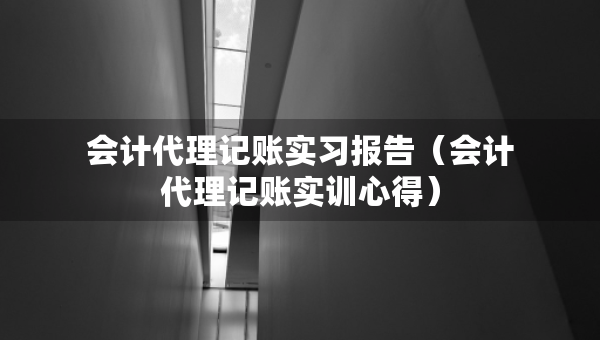 會計代理記賬實習(xí)報告（會計代理記賬實訓(xùn)心得）