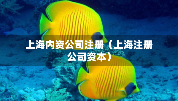 上海內(nèi)資公司注冊(cè)（上海注冊(cè)公司資本）