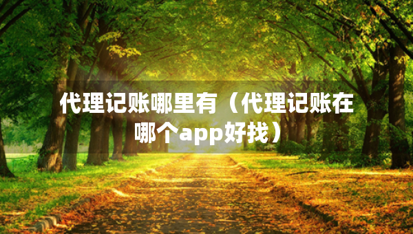 代理記賬哪里有（代理記賬在哪個app好找）