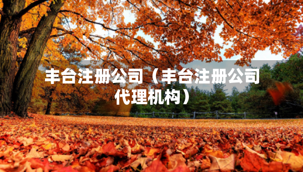 豐臺(tái)注冊(cè)公司（豐臺(tái)注冊(cè)公司代理機(jī)構(gòu)）