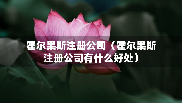 霍爾果斯注冊公司（霍爾果斯注冊公司有什么好處）