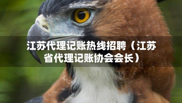 江蘇代理記賬熱線招聘（江蘇省代理記賬協(xié)會會長）