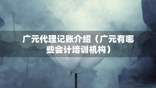 廣元代理記賬介紹（廣元有哪些會計培訓(xùn)機構(gòu)）