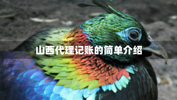 山西代理記賬的簡單介紹