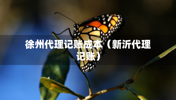 徐州代理記賬成本（新沂代理記賬）
