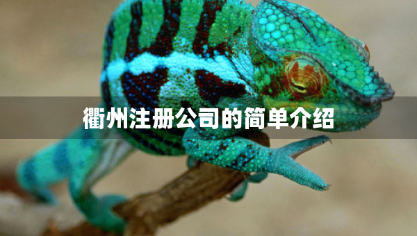 衢州注冊(cè)公司的簡(jiǎn)單介紹