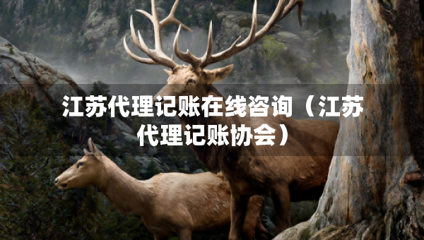 江蘇代理記賬在線咨詢（江蘇代理記賬協(xié)會）