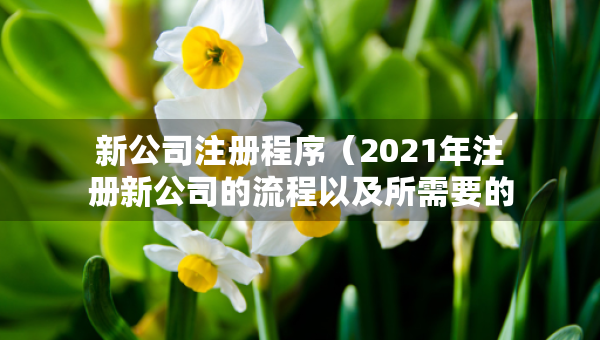 新公司注冊(cè)程序（2021年注冊(cè)新公司的流程以及所需要的資料）