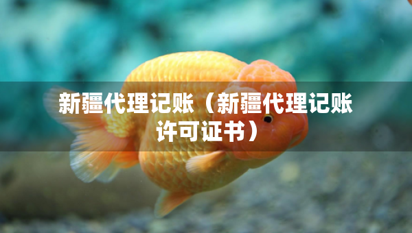 新疆代理記賬（新疆代理記賬許可證書）