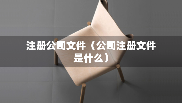 注冊公司文件（公司注冊文件是什么）
