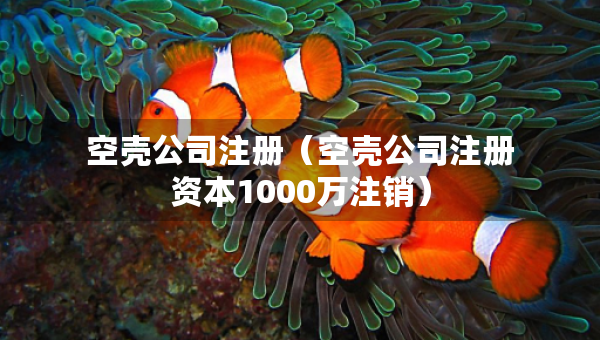 空殼公司注冊（空殼公司注冊資本1000萬注銷）
