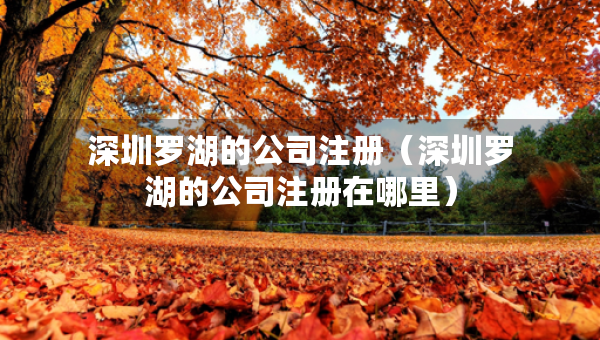 深圳羅湖的公司注冊（深圳羅湖的公司注冊在哪里）