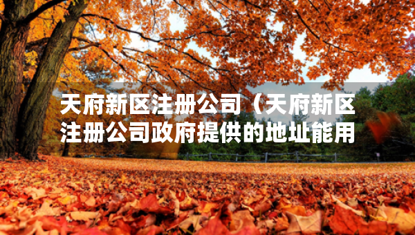 天府新區(qū)注冊(cè)公司（天府新區(qū)注冊(cè)公司政府提供的地址能用幾年）
