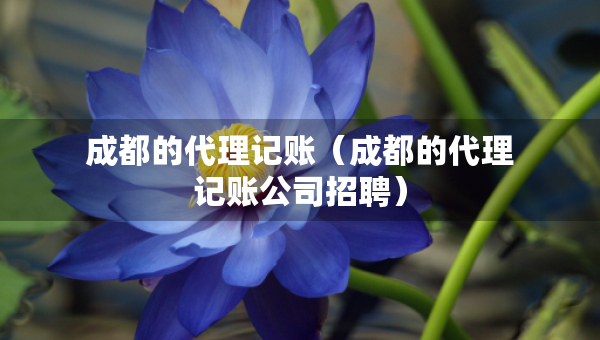 成都的代理記賬（成都的代理記賬公司招聘）
