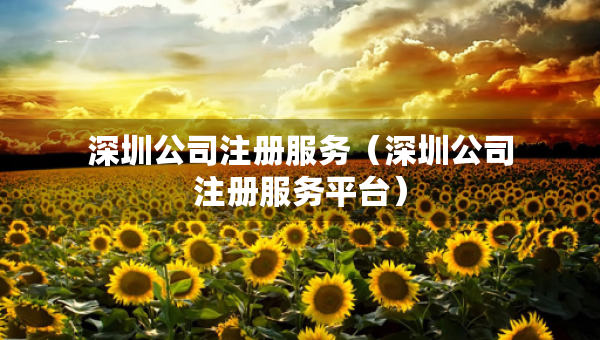 深圳公司注冊服務(wù)（深圳公司注冊服務(wù)平臺）
