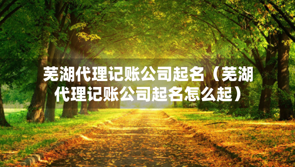 蕪湖代理記賬公司起名（蕪湖代理記賬公司起名怎么起）