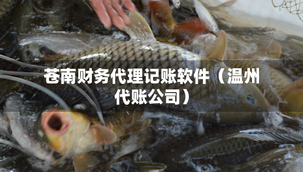 蒼南財(cái)務(wù)代理記賬軟件（溫州代賬公司）