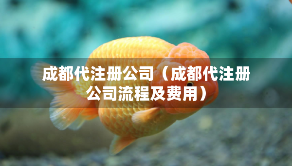 成都代注冊公司（成都代注冊公司流程及費用）