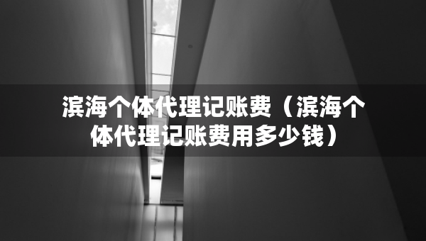 濱海個(gè)體代理記賬費(fèi)（濱海個(gè)體代理記賬費(fèi)用多少錢(qián)）