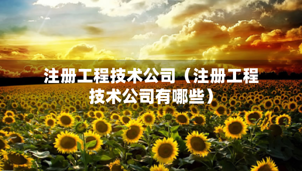注冊(cè)工程技術(shù)公司（注冊(cè)工程技術(shù)公司有哪些）