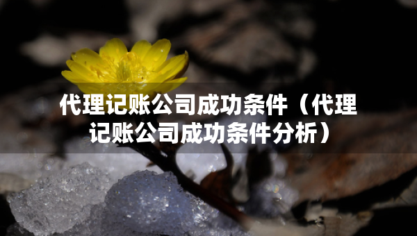 代理記賬公司成功條件（代理記賬公司成功條件分析）