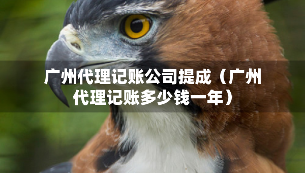 廣州代理記賬公司提成（廣州代理記賬多少錢(qián)一年）