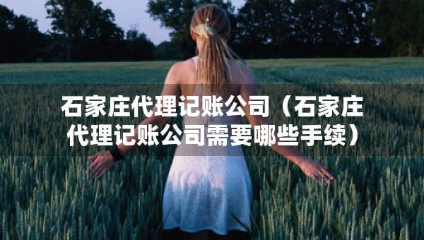 石家莊代理記賬公司（石家莊代理記賬公司需要哪些手續(xù)）